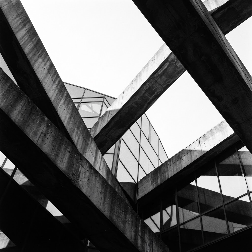 Modern architectural facade rendered in high-contrast black and white